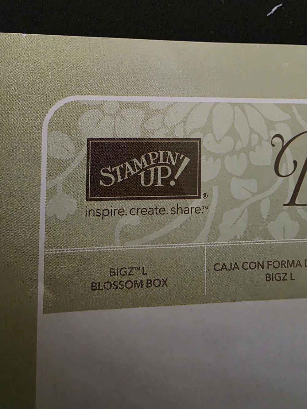 Stampin' Up! Bigz L Blossom Box Die - Sage Green Packaging